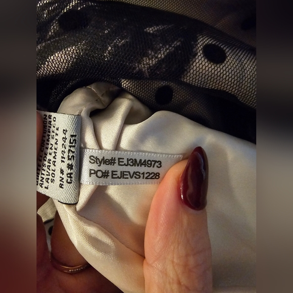 Elija J 12 Mesh Overlay Dress - Picture 7 of 8